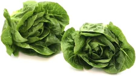 Baby Gem Lettuce 2 Count
