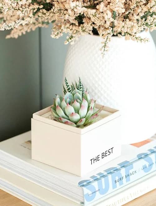 Lula's Garden Personalized Succulent Garden