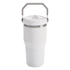 Stanley Iceflow Flip Straw Tumbler | Pottery Barn Teen