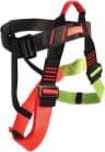 Video frame trigger