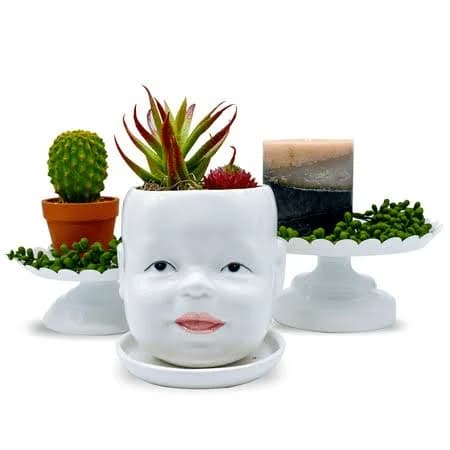 Ceramic Succulent Pot