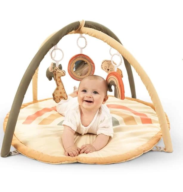 Hakuna Matte Baby Play Gym
