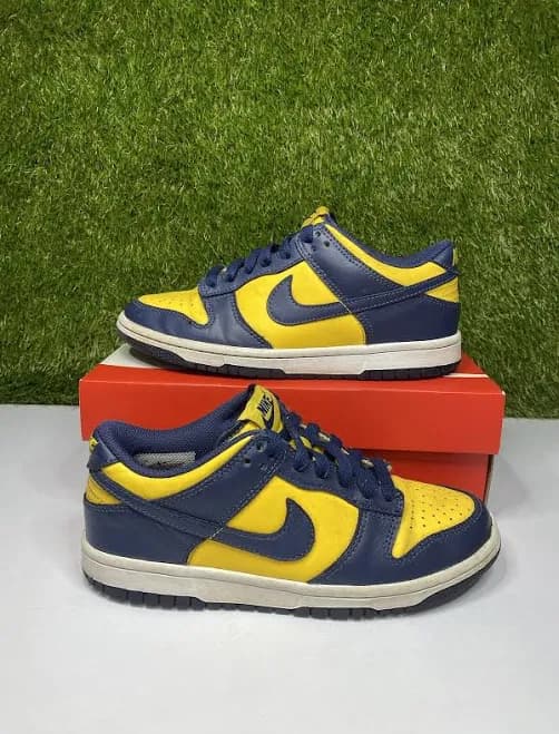 Nike Dunk Low Michigan