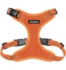 Video frame trigger