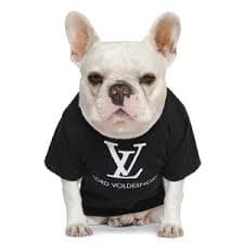 Lord Voldesnort T-Shirt – Big Puppin' Threads