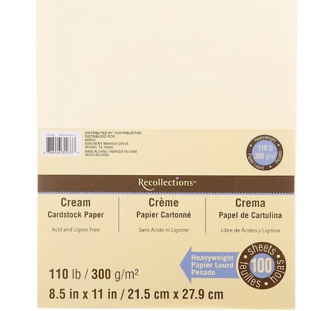 Recollections Heavyweight Cardstock Paper