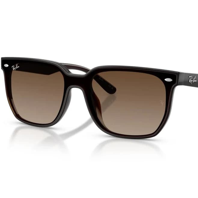 Ray-Ban RB4466D Sunglasses