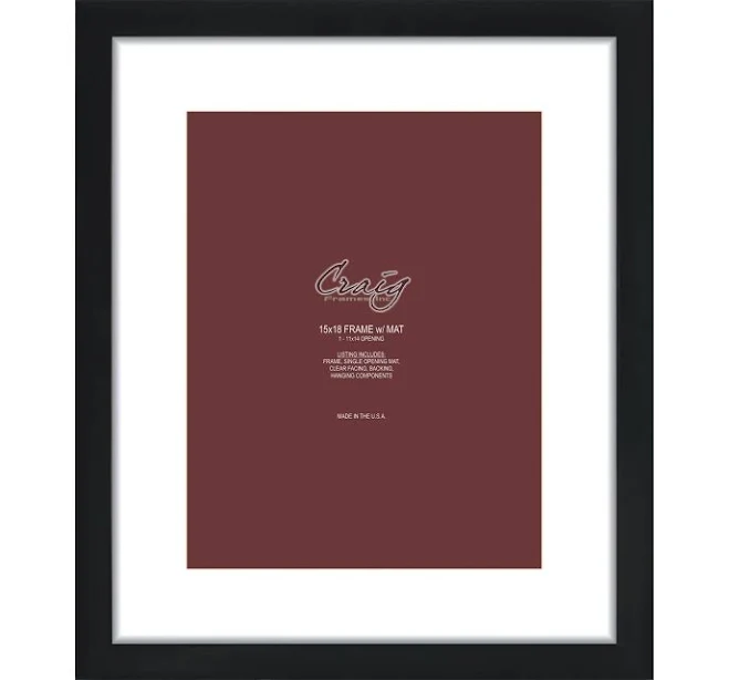 Craig Frames 1wb3bk Picture Frame