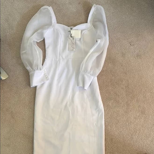 Lichi Elegant Sheer Sleeve Dress