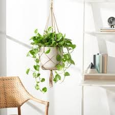 SAFAVIEH Peltria Concrete Modern Solid Hanging Patio Planter, Black - Walmart.com