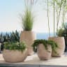 Video frame trigger