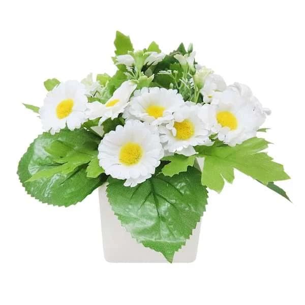 At Home White Daisey Floral Arrangement