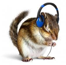 Amazon.com: Wallmonkeys WM3669 Funny Chipmunk Listening to Music on Headphones Peel and Stick Wall Decals, 18" W x 18" H-Small : Tools & Home Improvement