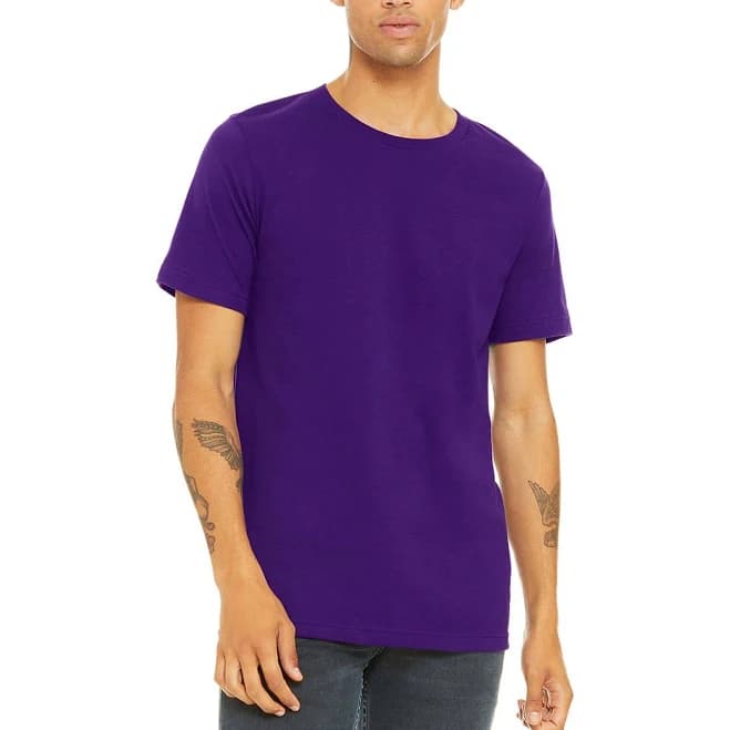 Bella + Canvas Unisex Jersey T-Shirt