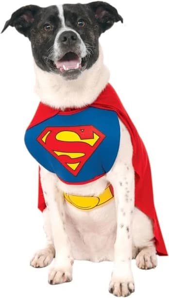 Superman Dog Costume