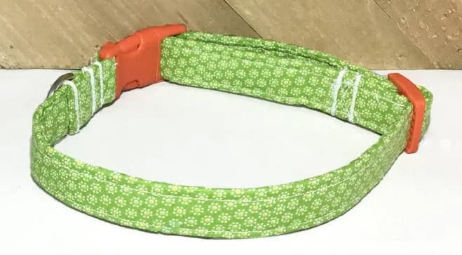 Green and Orange Floral Girl Dog and Cat Spring or Summer Collar-Buckle, Breakaway, Martingale Available