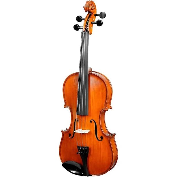 Bellafina Violin Outfit Niccolo Model Half Moon Case/Brazilwood Bow 4/4