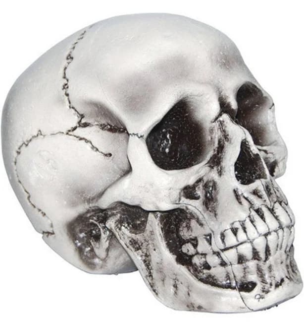 Sunstar Industries Foam Skull