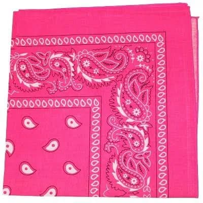Mechaly Paisley Cotton Bandana