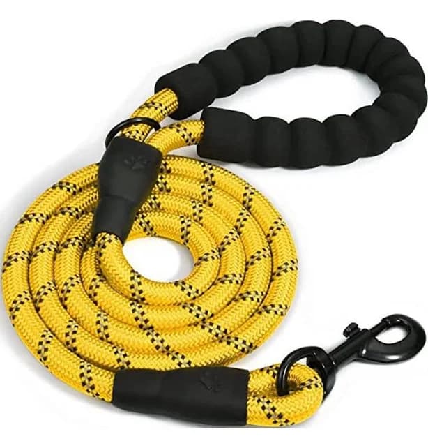 Doggy Tales Braided Leash