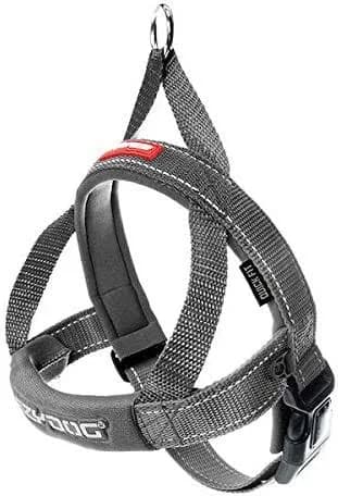 EzyDog Quick Fit Dog Harness
