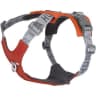 Video frame trigger