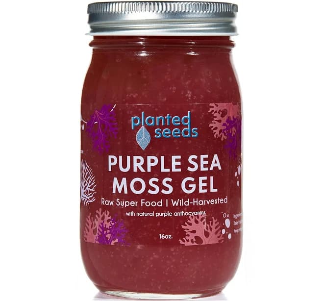 Food Fair Fresh Market Purple Sea Moss Gel