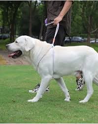 Wholesale No Pull Dog Harness and Leash Set Slip Rope Dog Leash and Harness Two in One for Training| Alibaba.com