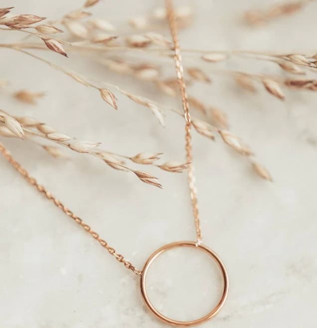14K White Gold Dainty Circle On Chain Necklace