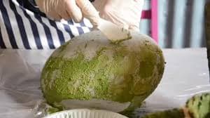 Moss Effect Paint - 3 OZ / 90ML - Moss Texture - Etsy