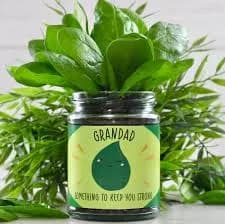 Personalised Strong Spinach Jar Grow Kit