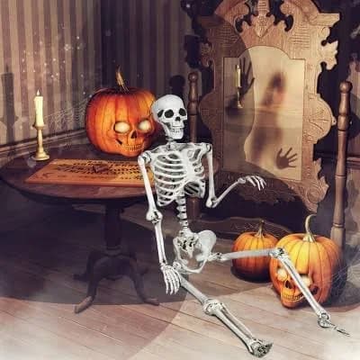 5.4ft Life Size Realistic Full Body Halloween Skeleton Hanging