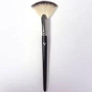 Professional Fan Brush