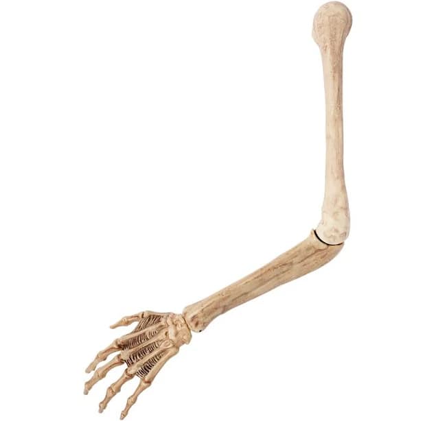 Spirit Halloween Skeleton Arm Prop