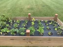 Amazon.com : warmfarm 6x25ft Landscape Fabric Heavy Duty,Thicken Block Gardening Ground Cover Mat,Garden Cloth,Black Plastic Ground Cover,Commercial Driveway Fabric (6x25ft, 2Pack) : Patio, Lawn & Garden