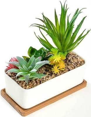 K-cliffs White Rectangular Ceramic Succulent Planter Pot with Bamboo Saucer