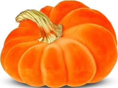 Way to Celebrate Wilted Pumpkin