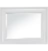 Video frame trigger