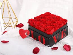 Amazon.com: Preserved Flowers in a Box with Necklace Mothers Day Gifts for Mom Flowers for Delivery Prime That Last 3-5 Years 16 White Forever Roses Anniversary Birthday Gifts for Her Wife Women
