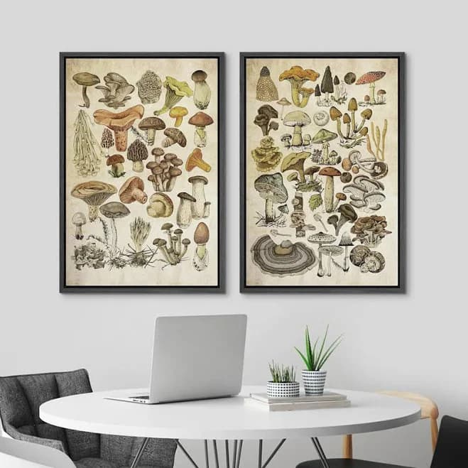 IDEA4WALL Abstract Botanical Mushroom Rustic Vintage Artwork