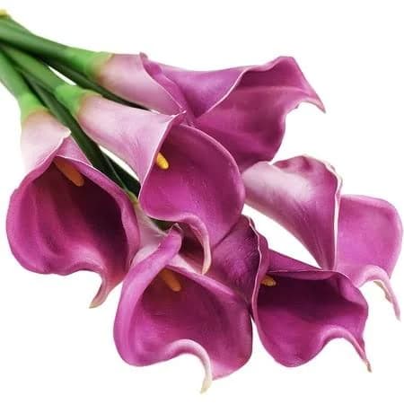 10pcs Calla Lily Artificial Flowers,26" Real Touch Long Stem Faux Calla Lillies for Tall Vases,Indoor Wedding Office Home Decor (Light Purple)
