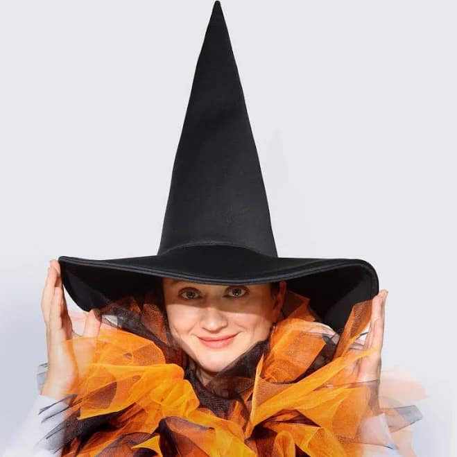 Pointed Witch Wide Brim Hat