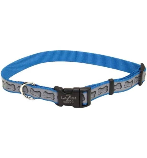 Lazer Brite Adjustable Blue Bone Dog Collar 1" x 26"