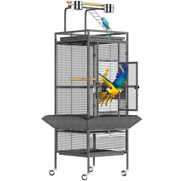 61" Tall Bird Cage with Play Top, Large Metal Bird Cage with Perches and Feeders for Parakeets, Lovebirds, Cockatiels, and Budgies Latitude Run