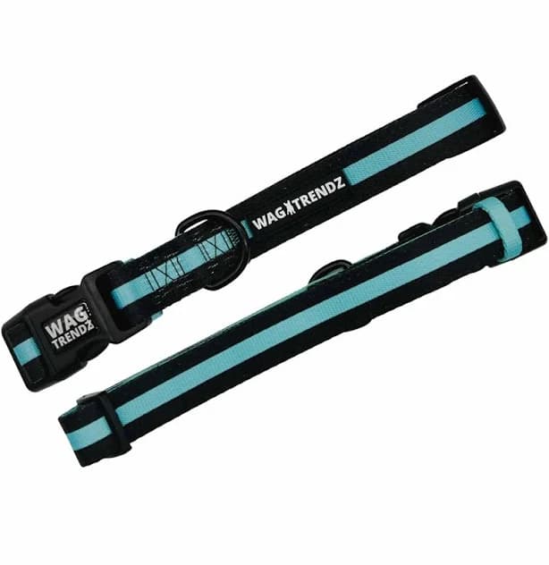 Wag Trendz Nylon Dog Collar
