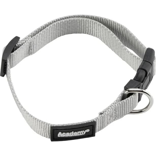 Academy Sports + Outdoors Small Adjustable Dog Collar