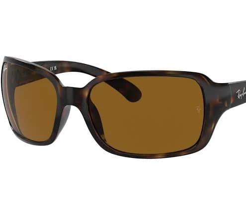 Ray-Ban Women's RB4068 Sunglasses