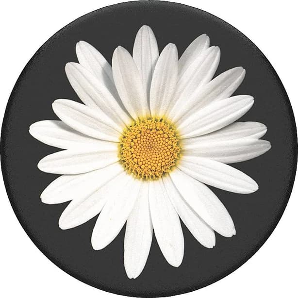 PopSockets PopGrip White Daisy