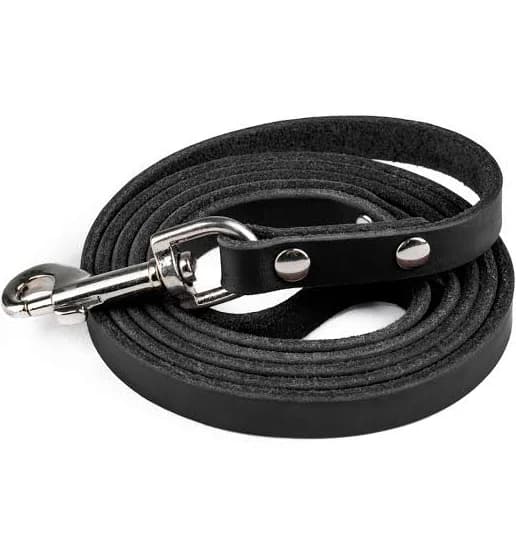 Mighty Paw Distressed Leather Dog Collar