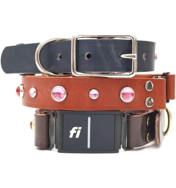Pink Studded Leather Fi Compatible Belt Buckle Dog Collar